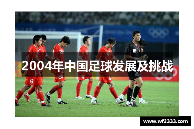 2004年中国足球发展及挑战